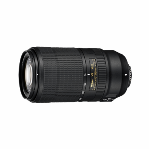 Nikon 70-300 Lens
