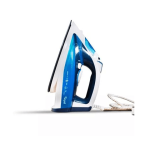 Royal Steam Iron