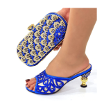 Women Italy Party Pumps Matching Shoe and Bag  - Blue