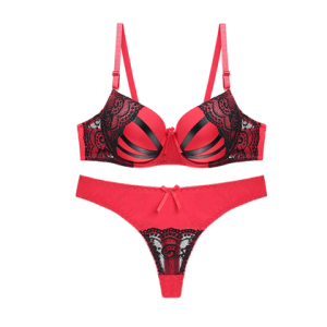 High Quality Women Seamless Sexy Bra & Pant Set - Red