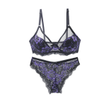 Women Ultra-thin Transparent Bra and Pant Set - Purple