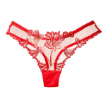 Sexy Ladies Transparent Lingerie Thong Sexy Panties - Red