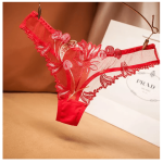 Sexy Ladies Transparent Lingerie Thong Sexy Panties - Red