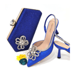 Women Luxury Designer Matching Shoes and Bag Set - Blue