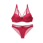 Nouvelle Seamless Sexy Lace Underwear Brief Set - Red