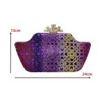 Decorated Women Party Shoes and Bag Set