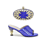 Nigerian Women Decorated Wedding Shoes and Bag Set - Blue