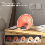 Alarm 4