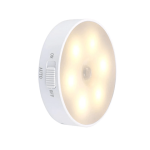 Motion Light 4
