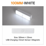 100mm Long