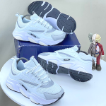 dior shoe